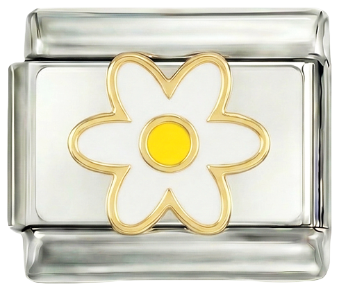 Marguerite blanche et son cœur jaune