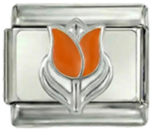 Tulipe néerlandaise