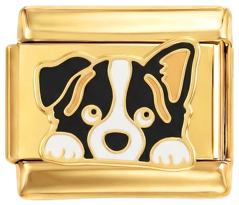 Image de la diapositive