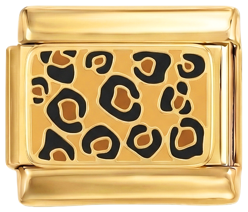 Image de la diapositive