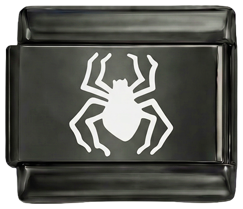 À AJOUTER - Araignée blanche sur noir