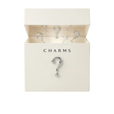 Boîte mystère (10 Charms)