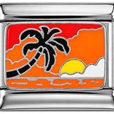 Coucher de soleil avec palmier en argent