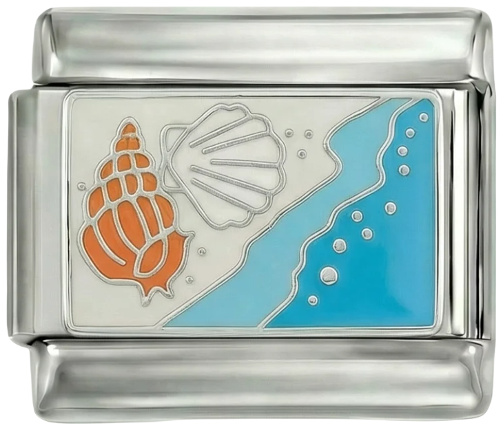 Shells at the Beach on White Sand - shells-at-the-beach-on-white-sand.png